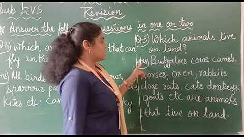 EM Grade 3 EVS  Ch-1 What did Poonam see?(Revision)