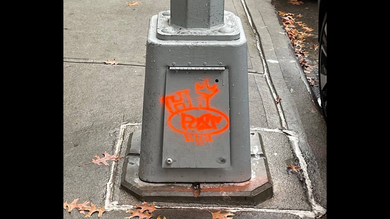 Hi Post X CLLCTV.NYC Homecoming 2021 || hipostimages