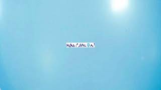 ttumitt mix  baharı bekleyen kumrular gibi