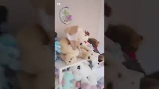 VID 20260427 WA0025 1 VID 20260427 WA0025 1
