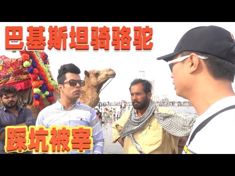 在巴基斯坦骑骆驼踩坑了，很多“巴铁”帮我说话，我做的对吗？【耀阳环游记】