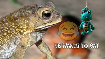 He wants to eat for fun