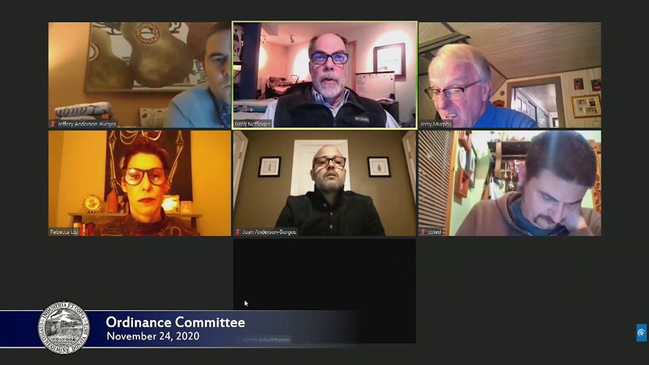Ordinance Committee 11 24 Youtube