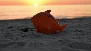 SandShark Anchor Marking Video