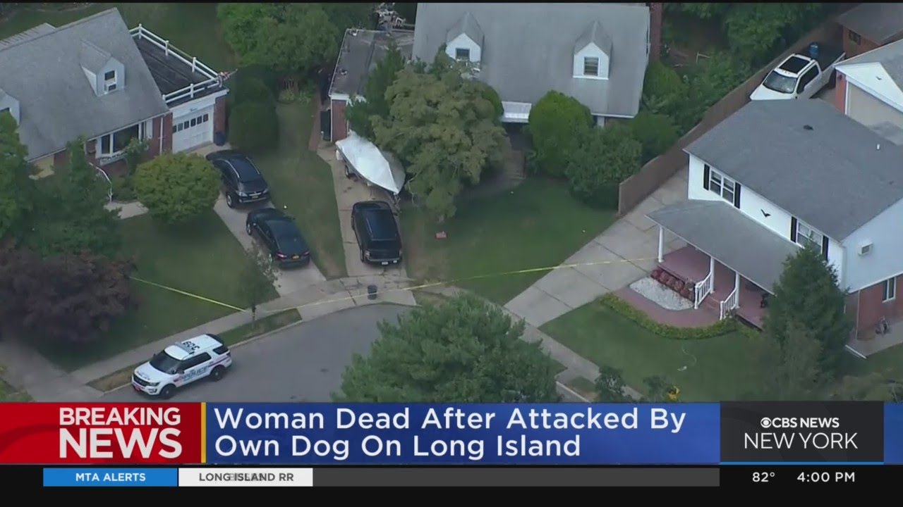 Woman dead after attacked by own dog on Long Island - YouTube