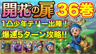 【ドラクエタクト】開花の扉37巻 爆速5ターン攻略‼️1凸少年テリー出陣!! 【実況】【#ドラクエタクト／#ドラゴンクエストタクト／#DQTact】【無課金攻略】