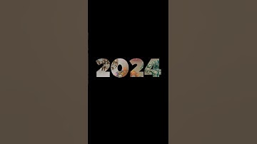 2024 was quite the adventure! (read desc) also thank you to whoever made this template!! #2024 #2025