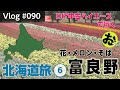 北海道最終日は富良野へ行きました【Vlog#090 】