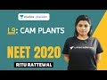 L9: CAM Plants | Photosynthesis Complete NCERT Review | NEET 2020