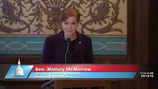 Sen McMorrow Votes No on Bills Banning Legal Abortion