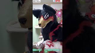 【獣化/fursuit#102】水曜のもふもふタイム🐾【ジュージュー】#fursuit #獣化 #shorts