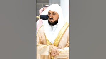 إن الذين قالوا ربنا الله ثم استقاموا ~ تلاوة خاشعة جداً للشيخ د. #ماهر_المعيقلي