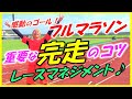 【マラソン大会 初挑戦､完走へ再挑戦､ランニング初心者の方に特におすすめです♪】ゴール時の最高の感動を味わうための､ペース配分等､気を付けることが満載です♪あなたもぜひ完走しましょう～！