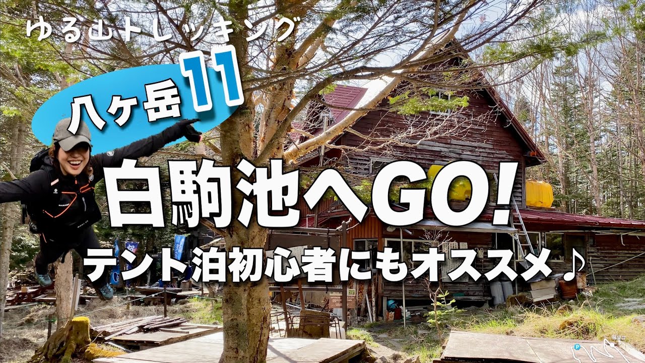 長野県 北八ヶ岳 白駒池へgo テント泊初心者にもおすすめ 最高のロケーション 残雪の八ヶ岳はヒンヤリ涼しかった ゆる山トレッキング ４k Youtube