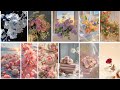 Nature WhatsApp Dp Profile Pictures || Flowers Wallpapers 🌼 || Beautiful Flowers Dpz 🥰 ||