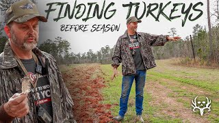 Scouting Turkeys & Early Season Calling Tips!