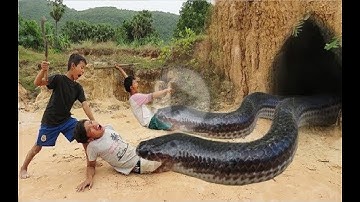 Primitive Technology: Simple DIY Python Snake Trap Using Real hands Catched That Work 100%