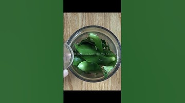 Lá Lược Vàng trị Chó bị Đường Ruột