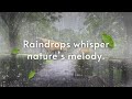Relaxing Rain Sounds for Sleep, Study, and Stress Relief | White Noise for Deep Relaxation