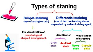 Types of staining || Comman Staning techniques || Part -1