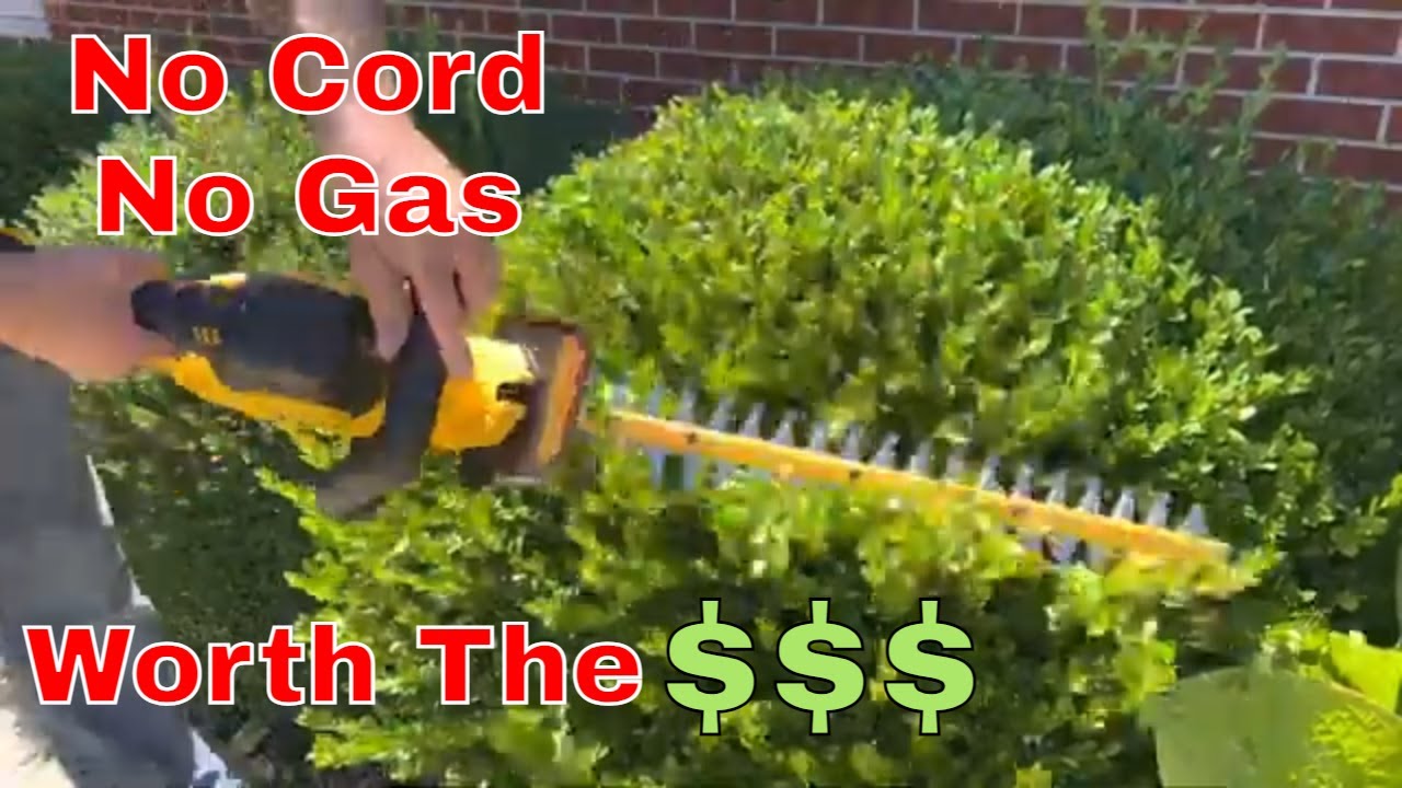 DeWalt 20v Hedge Trimmer Testing, Review YouTube