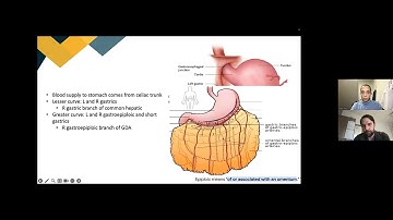 SSAT Residents & Fellows Education Committee Webinar: High Yield Topics for the ABSITE 2024: Part I