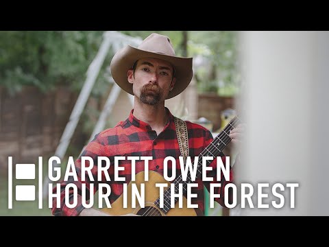 Hour In The Forest