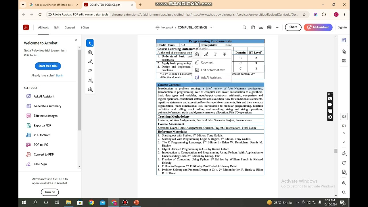 programming fundamental C++  ADSIT,ADSCS BS IT classes affliated with BZU