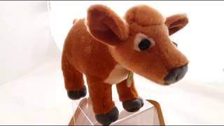 Aurora Miyoni Jersey Calf Brown 11 Review