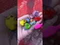 CLEANING  SQUISHY ASMR🐣🐣Chick#asmr