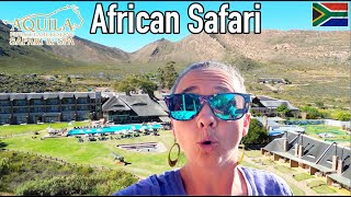 African Safari Only 2 Hours from Cape Town!