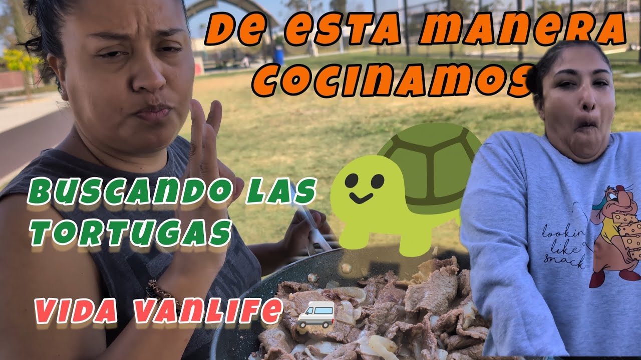 Fuimos en busca de las tortugas 🐢🚐 parque y cocinamos en el parque🙌🍲