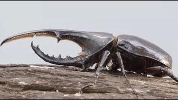 16 THE RED PLANET (journey into space) {with added visuals}