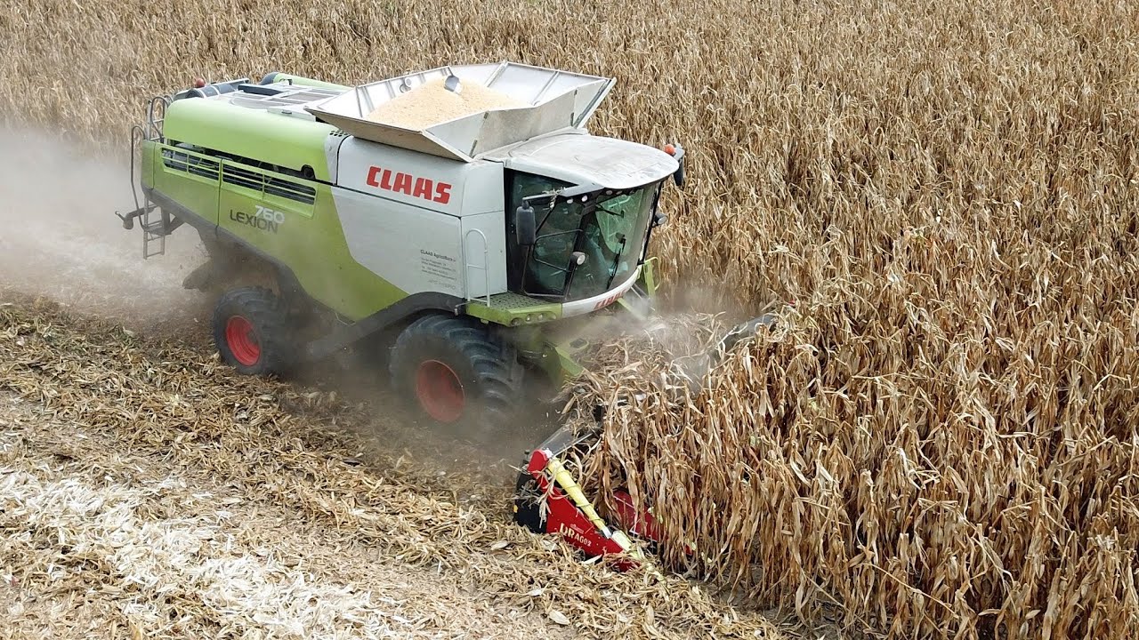 Claas Lexion 760 | Olimac Drago2 | Trebbiatura mais 2022
