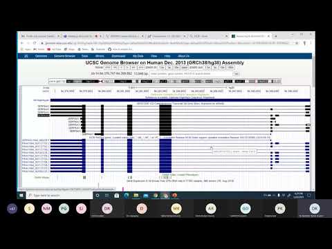 Comparative Genomics (Practical-hands on session)| Dr. Abhishek Kumar, IOB Bangalore