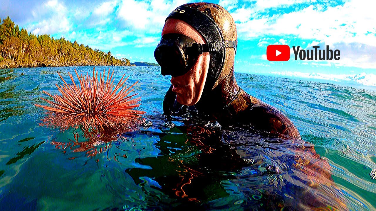 Vancouver Island Freediving & Harvesting Spearfishing BC, Canada YouTube