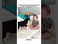 wait for parrot voice😮😮 #husky #cutebaby #cute #dog#perrot #promote #funnyshorts