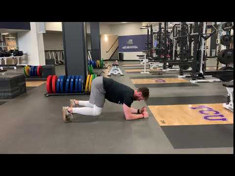 Bear Crawl Serratus Plank
