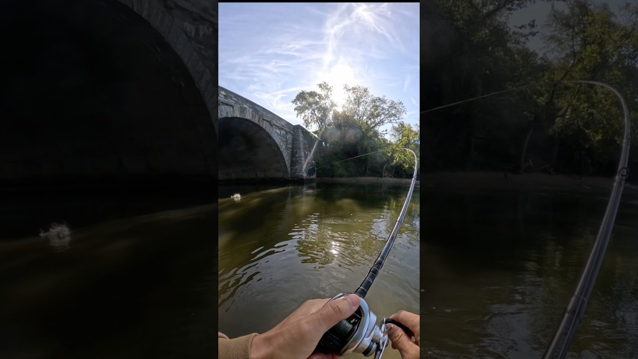 Just Tossed It Under the Bridge&hellip; BOOM! #fishing #bassfishing #riverfishing #basspumping
