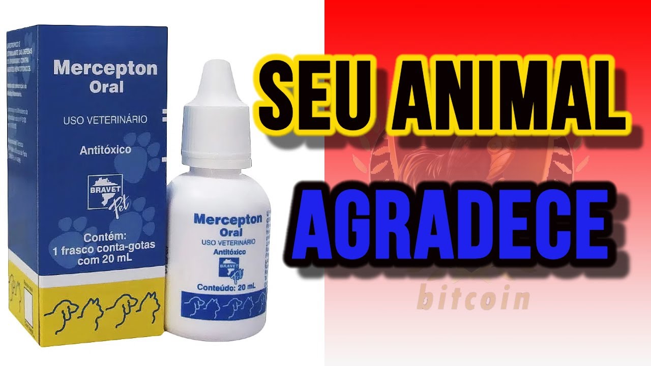 COMO USAR MERCEPTON CORRETAMENTE (O MELHOR ANTITÓXICO PARA GALO)