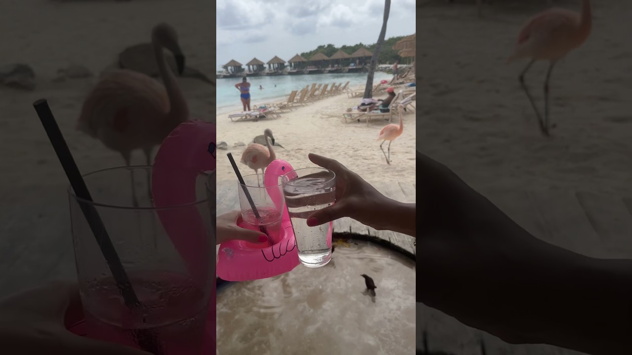 Favorite drinks in Aruba 2024 