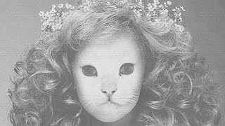 Mr.Kitty - Destroy Me 「 𝙎𝙥𝙚𝙙 𝙐𝙥 」