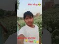 #viral #video #and Smart 😎boy