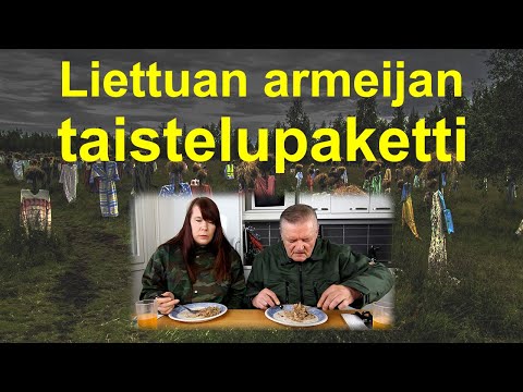 Video: "Eleron", "Hunter" ja muut. Kotimaisten ilma -alusten "lentävän siiven" järjestelmä