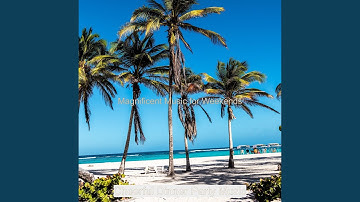 Backdrop for Lockdown - Vibraphone