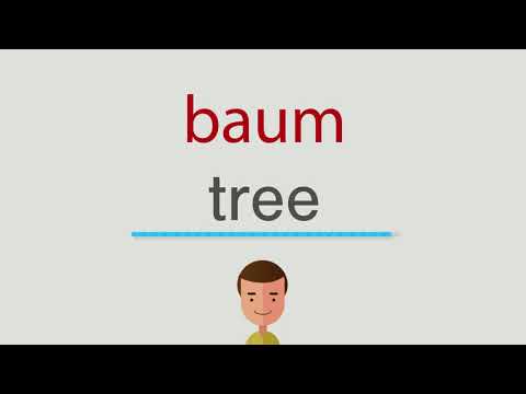 Wie heißt baum
