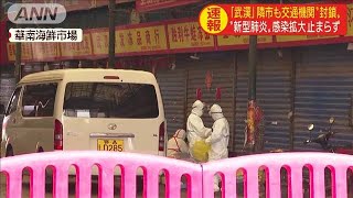 「武漢」隣の市でも交通機関ストップ　市場なども(20/01/23)
