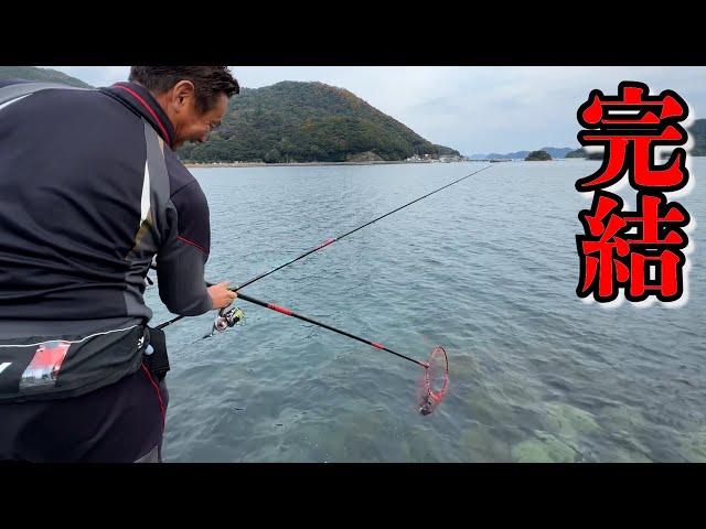 完結】シリーズ完結編！遂に餌取りの下からグレやっちゃいました