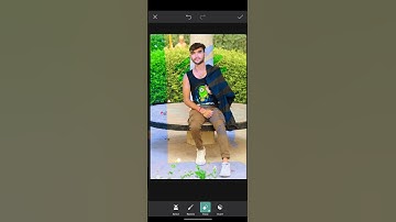 Snapseed background change photo editing || Lightroom green colour editing ||#shortvideo #shorts
