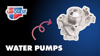 Carquest Part Spotlight: Water Pumps